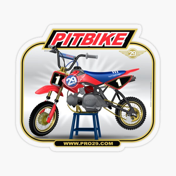 Custom XR50 CRF50 Pitbike